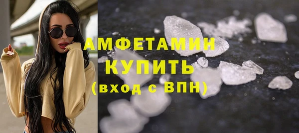 крисы Ельня