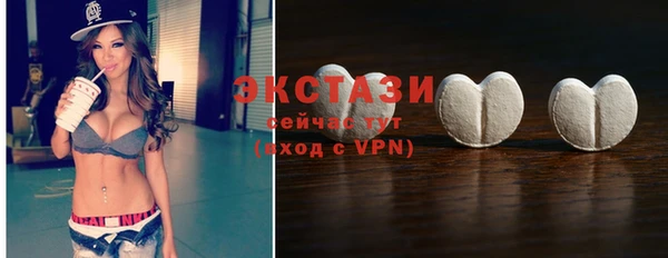 крисы Ельня