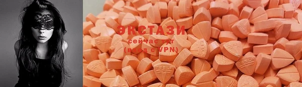 крисы Ельня