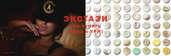 крисы Ельня