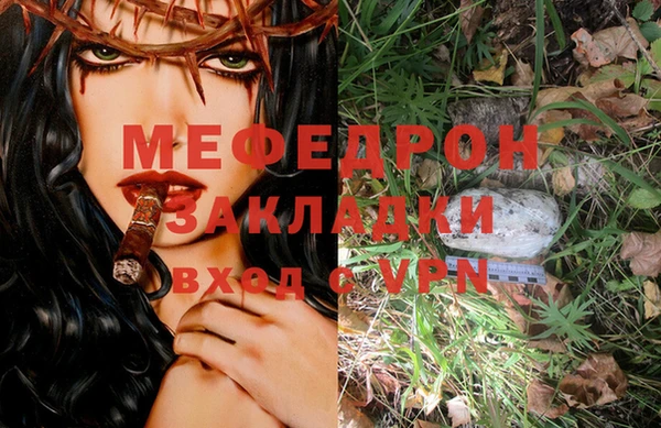 крисы Ельня