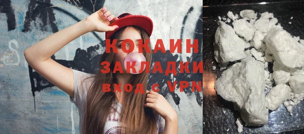 крисы Ельня