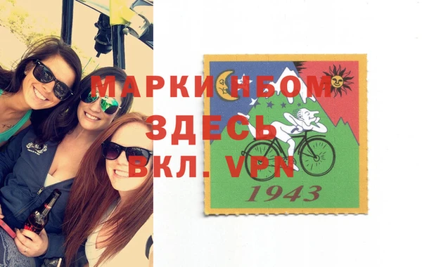 крисы Ельня