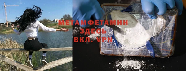 крисы Ельня