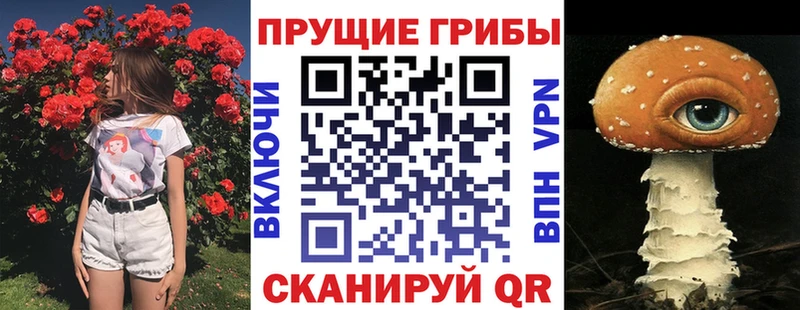 Псилоцибиновые грибы прущие грибы  Балашиха 