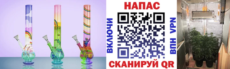 Шишки марихуана тримм Балашиха